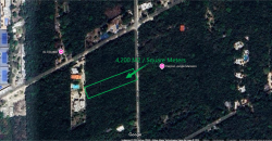 Land in Cancun – 4,200 Square Meters (Residential/ Turistic Use) – 20 min from the International Airport.