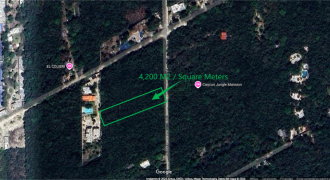 Land in Cancun – 4,200 Square Meters (Residential/ Turistic Use) – 20 min from the International Airport.