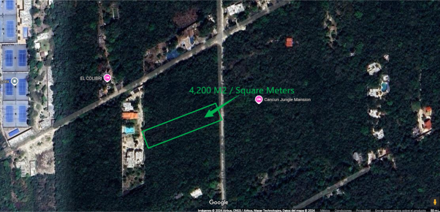 Land in Cancun – 4,200 Square Meters (Residential/ Turistic Use) – 20 min from the International Airport.