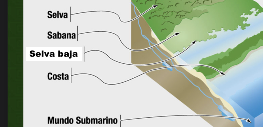 Chiquilá Beach – 7 hectares with beach (14,000 hectares in 20 usd per m2 or 7,000 hectares with beach front in 30 usd per m2 ).